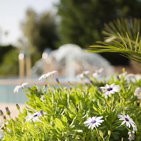 Lu' Porto Pino Hotel